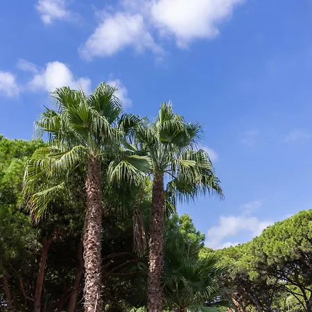 Aparthotel Las Palmeras Castelldefels-3
